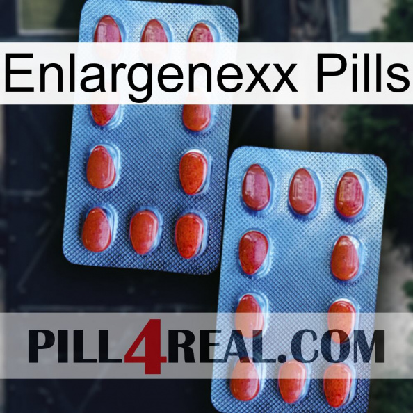 Enlargenexx Pills 05.jpg